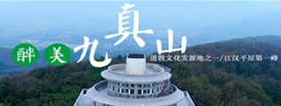 免费看鸡巴插洞视频网站区