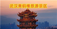 啊啊啊啊插我的骚逼快用你的大鸡巴插我啊好棒视频播放