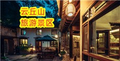艹后入